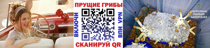 Галлюциногенные грибы GOLDEN TEACHER omg ссылки Артёмовский